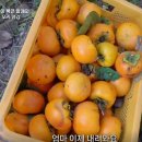 복연농장 이미지