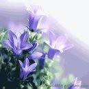 늪골농장 이미지