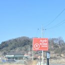 대흥 마을회관 | 충남 예산 예당호 카페 아그리르 브런치 디저트 맛집