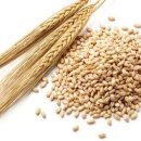 종로에듀학원 이미지