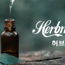 (주)크리에이티브허브 네이버블로그