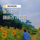 하남초(해바라기공원2) | [인천/제물포] 인천 해바라기 명소, 월미공원(+월미바다열차 후기)