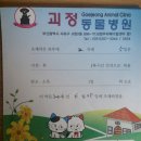 괴정동물병원 이미지