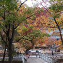 흑룡한의원 이미지