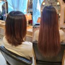 리걸에일리언 | 🇯🇵[D+238~240] 일본 미용실에서 붙임머리 했지롱💇‍♀️