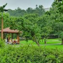 보라매공원 이미지