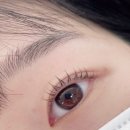 전주 속눈썹펌 티나살롱