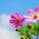 좋은글 공방