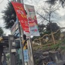 충남새우젓상회 | 논산 강경할미젓갈 방문 후기 백년가게에서 내돈내산 김장용 새우젓, 올해 김장 성공각