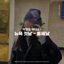 아메리카나주 | 뉴욕 여행 : 다시 또 뉴욕 (뉴욕 호텔 후기 아메리카나 인)