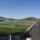 세종베스트치과의원 이미지