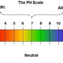 영국세차장 이미지