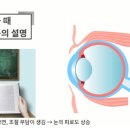 하나로콘택트 이미지