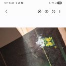마작입니다. 이미지