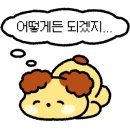 유스레코드