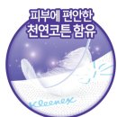 앤소프트 이미지