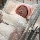 메디솔(주) | 운정와이즈 산부인과 제왕절개 5박6일 후기