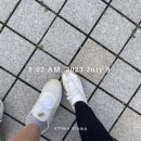자연뜰 | 대전 서구 임장 후기