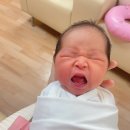 안양 봄빛병원_ 제왕절개 후기/ 둘째출산/ 첫째와는 또 다른 고통/특실A후기