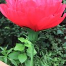 조물락공작소 이미지