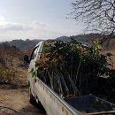 태양농산 태양광발전소 이미지