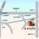 라이프라인