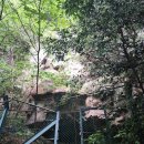 서귀동 천지연 생수궤 이미지