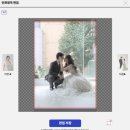 나이스포토 | W. 본식 포토테이블 사진 인화 업체 찍스 내돈내산 후기 (당일제작 가능)