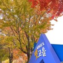 금양갈비