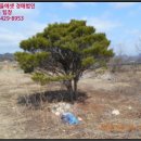 추부면 추정삼거리 이미지