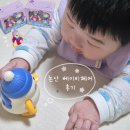 장원체육관 | 논산 베이비키즈페어 후기