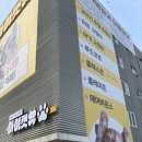 청주고양이카페아이캣유 이미지