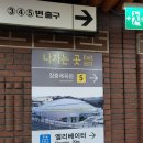 동대입구역 하와이안포케1971: 장충동 포케 맛집