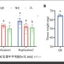 더 큰 여왕, 더 나은 여왕 - 1부 이미지