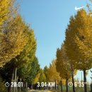 HOME SWEET HOME | Home Sweet Home ♥ (12월 일상)