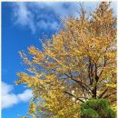 시민행정사사무소 이미지