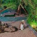 자잠림 료칸 이미지