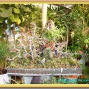 유영해농장 이미지