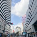 피치랑 | 일본 혼자여행 추천 오사카 라멘 피치항공 후기