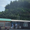 Top 3 울릉도 꽁치물회 현지인 맛집 만광식당 내돈내산 추천