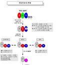 비디오 신호(RGB, CVBS, S-VIDEO, Y/Pb/Pr, Y/Cb/Cr, DVI, HDMI, RF) | 디지털 이야기 이미지