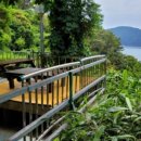 장승포항(지심도 도선) 이미지