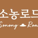 로드207
