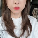 아모이헤어 이미지