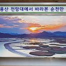 들마루맛집 이미지