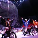 당진월드아트서커스 이미지