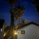 팜트리 빌리지 | 제주도 캠핑장 온 것 같은 숙소, 서귀포 숙소 팜트리빌리지 숙박 후기