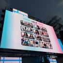 블루존 | [251102] 2025 컬러인뮤직페스티벌 투어스 후기(스카이블루존)