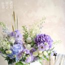 쏭블룸 이미지
