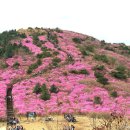 회원동231 이미지